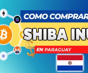 Cómo Comprar Shiba Inu (SHIB) en Nicaragua